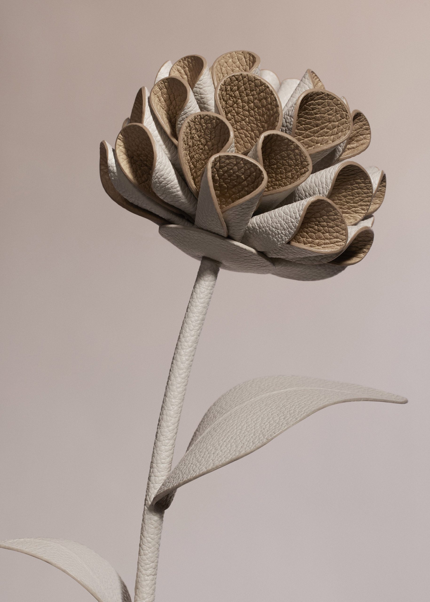 Dalium Flower - Textured Duo Chalk - Image 3