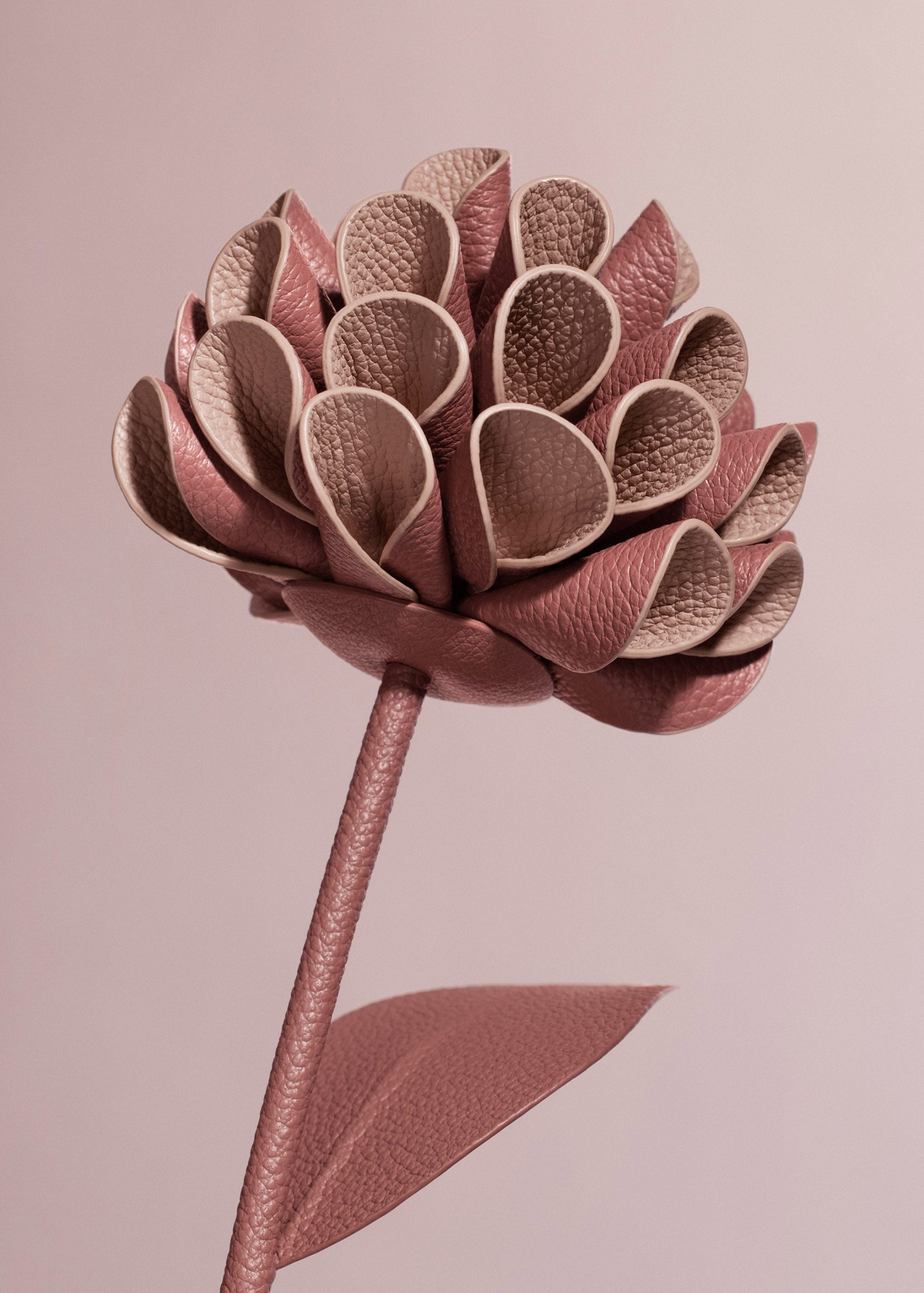 Dalium Flower - Textured Duo Blush - Image 3