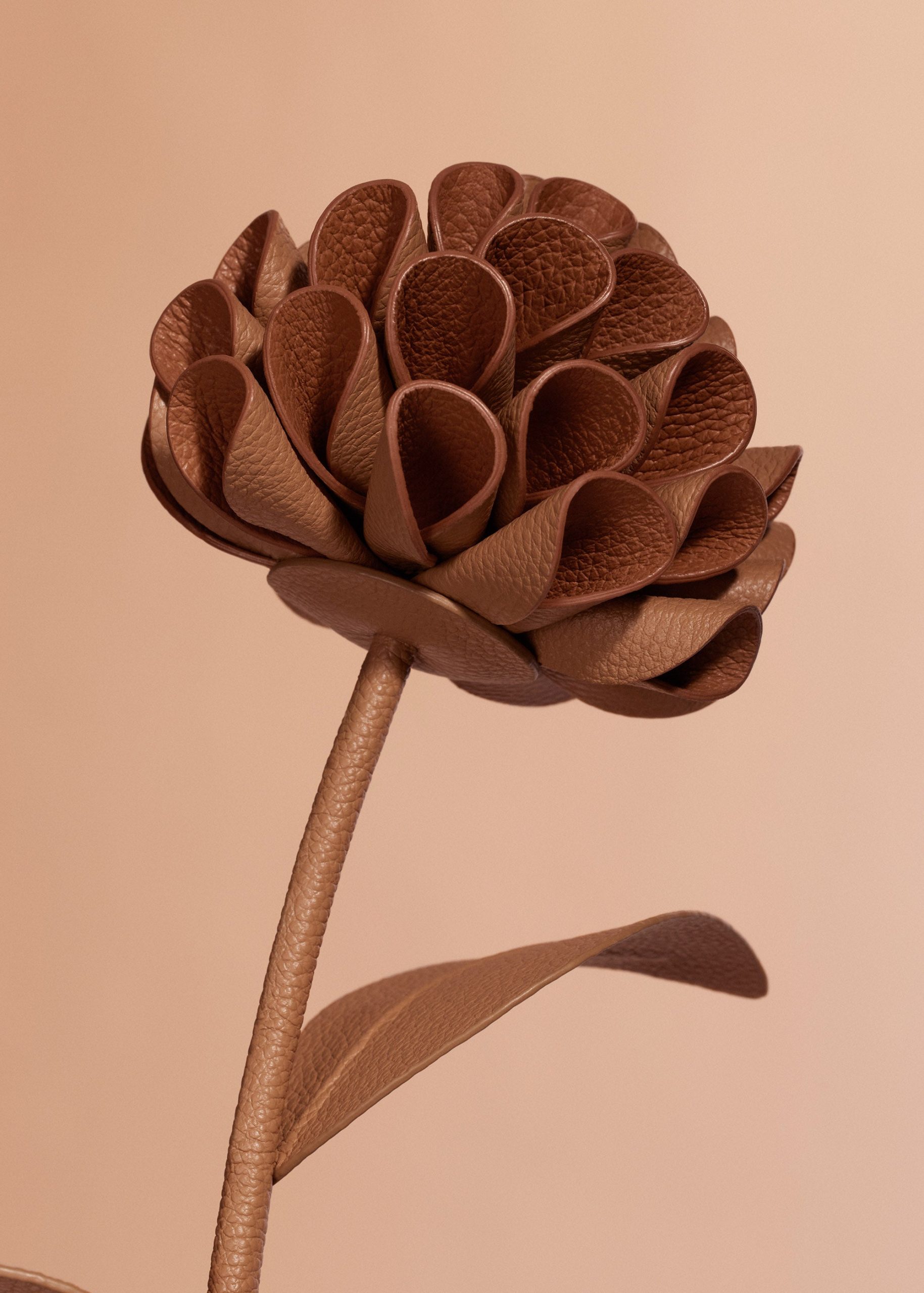 Dalium Flower - Textured Duo Tan - Image 3