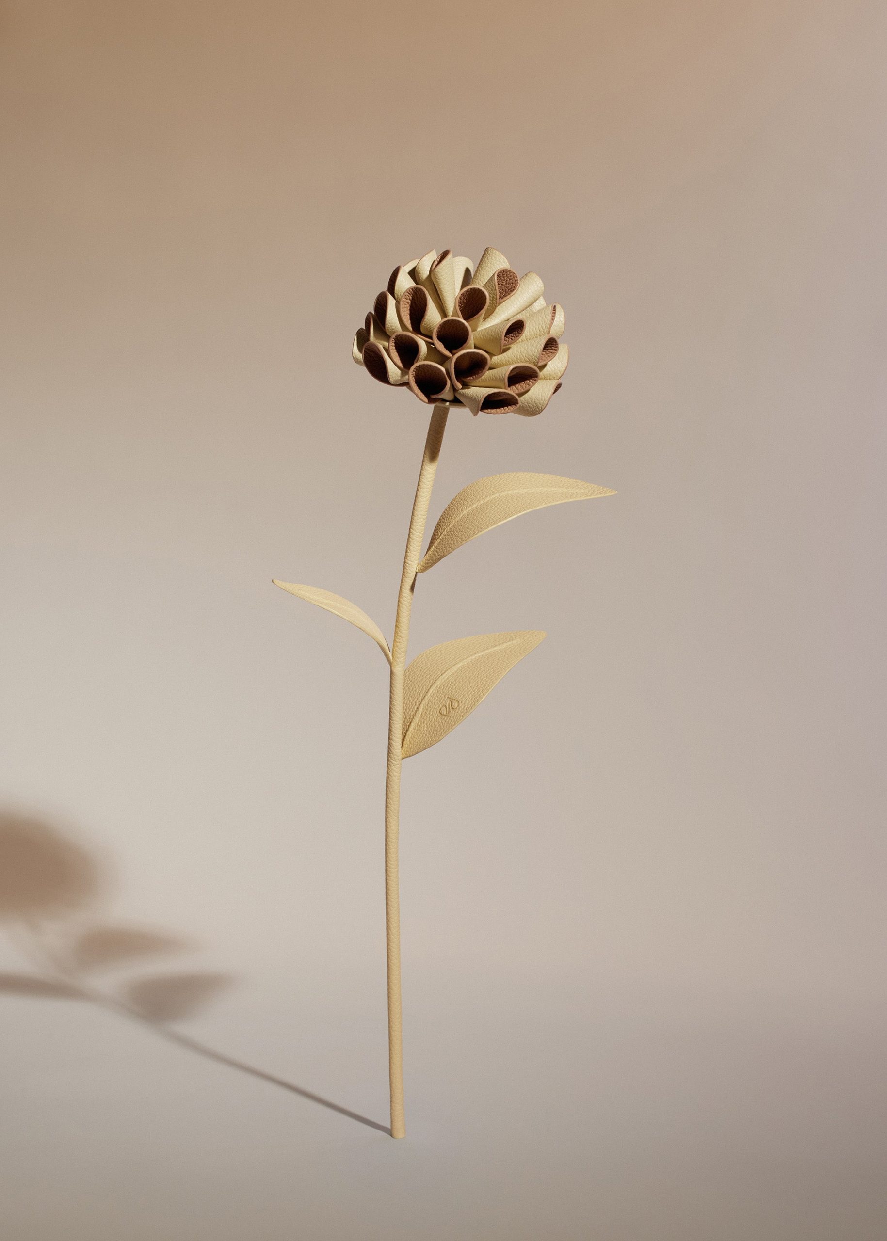 Dalium Flower - Textured Duo Wheat - Image 2