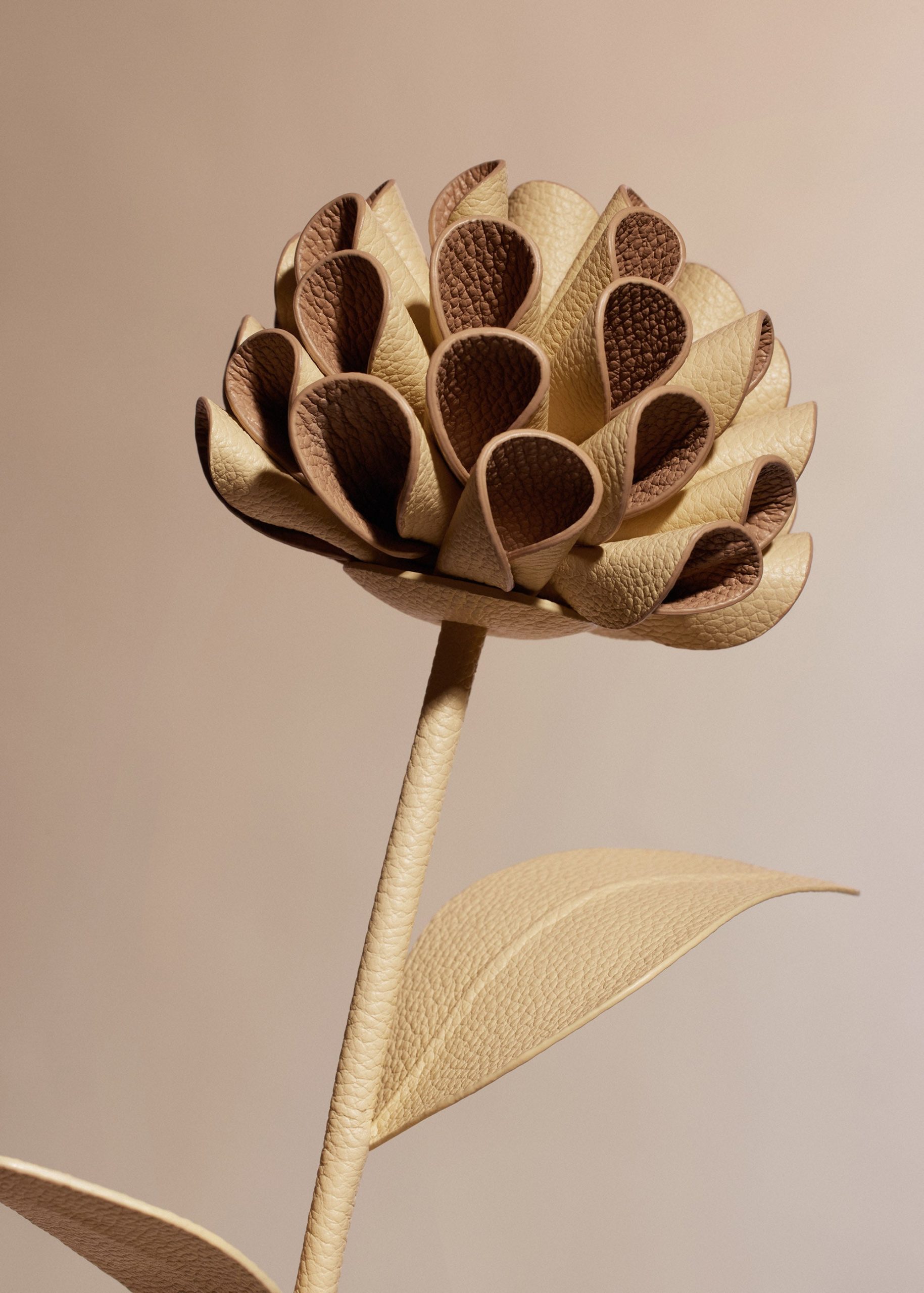 Dalium Flower - Textured Duo Wheat - Image 3