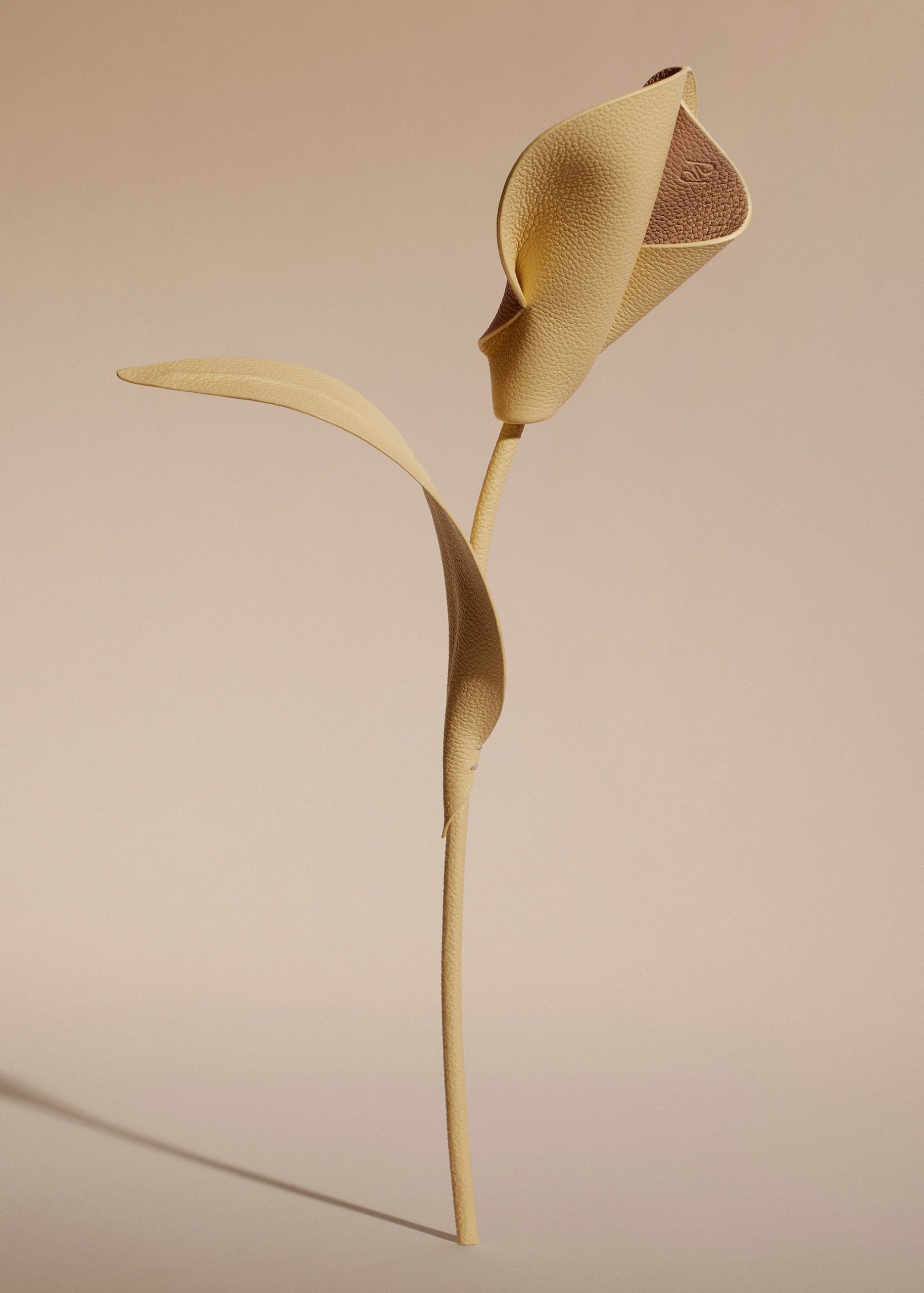 Pili Flower - Textured Duo Wheat - Image 2