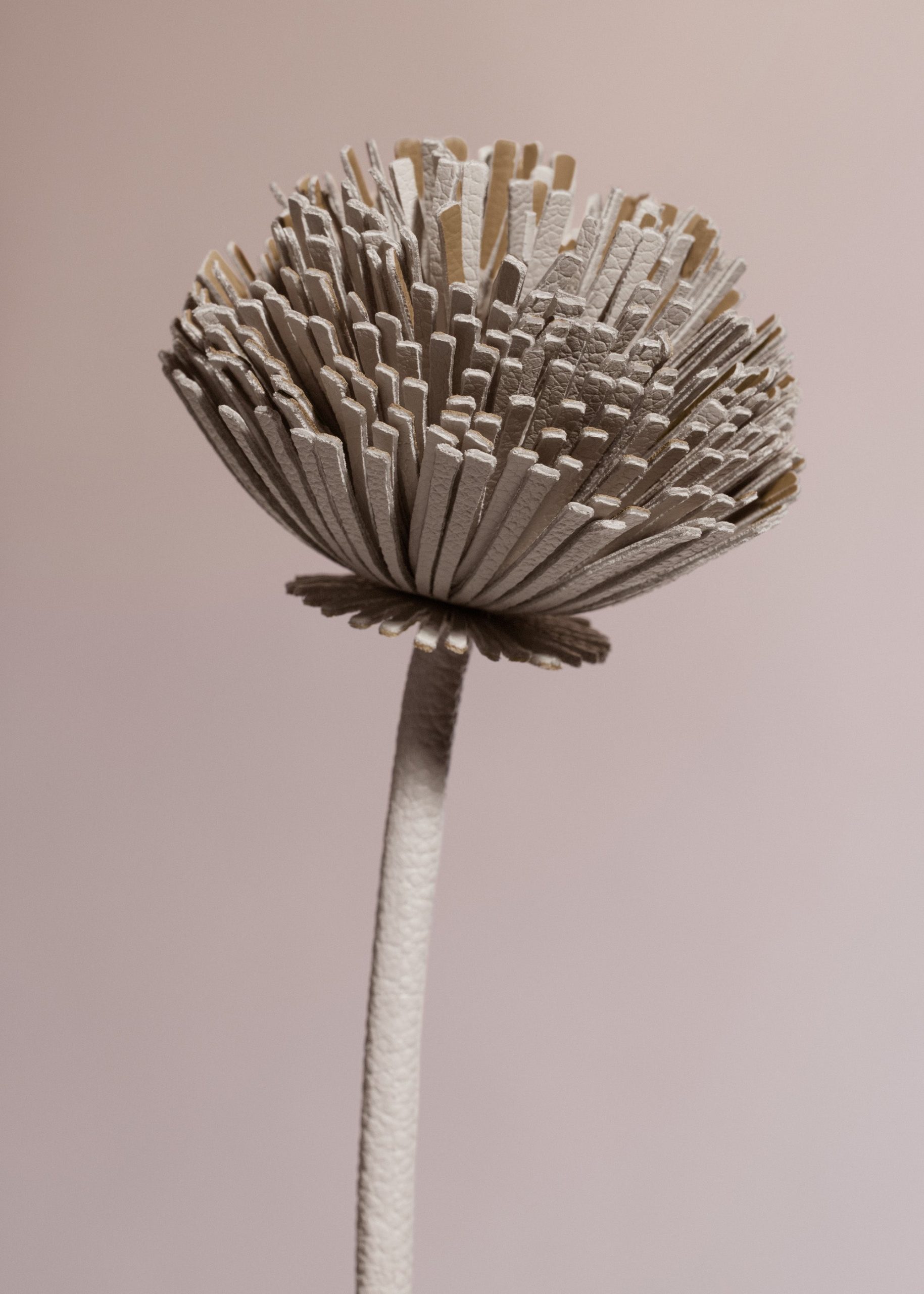 Tul Flower - Textured Duo Chalk - Image 3