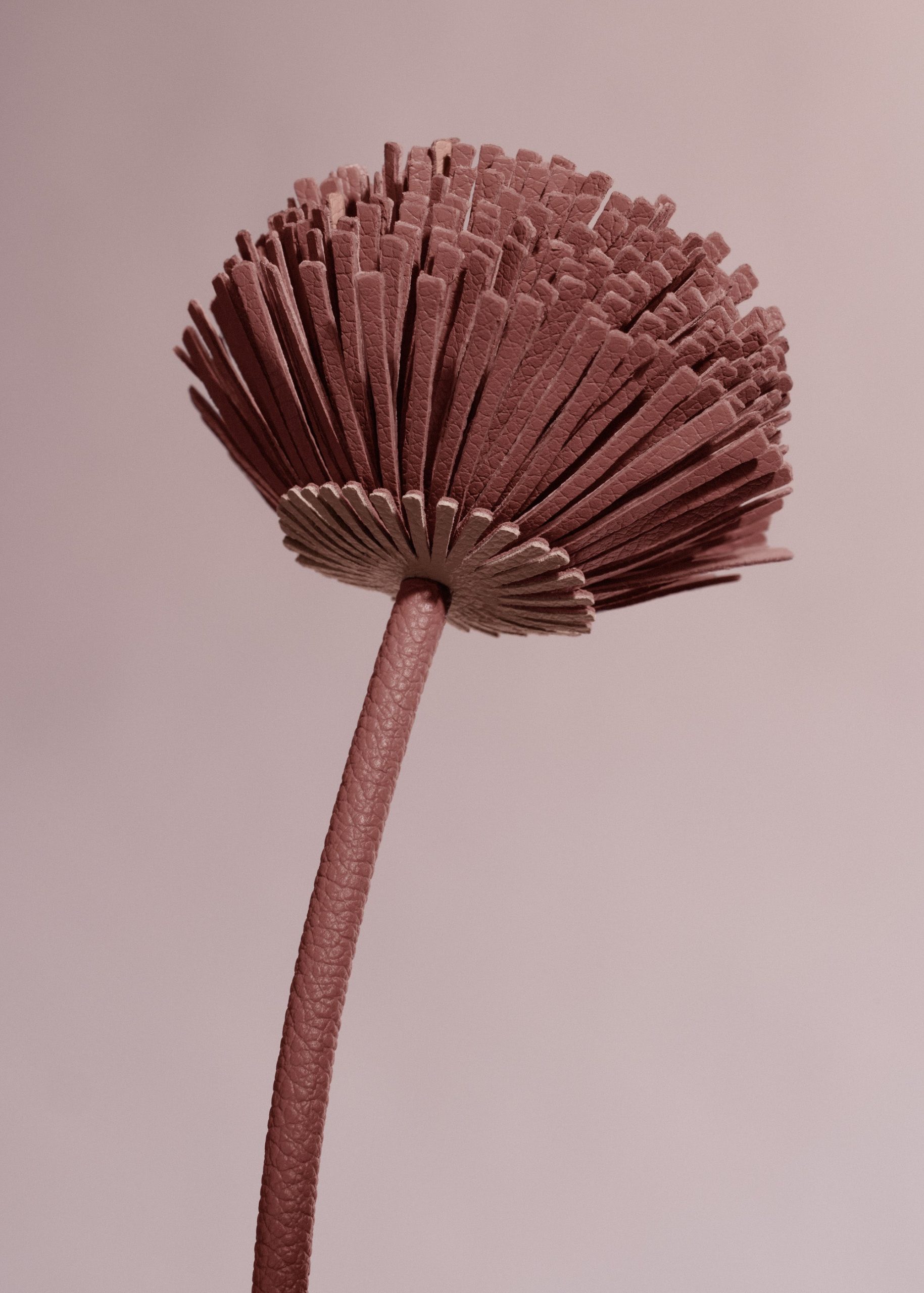 Tul Flower - Textured Duo Blush - Image 3