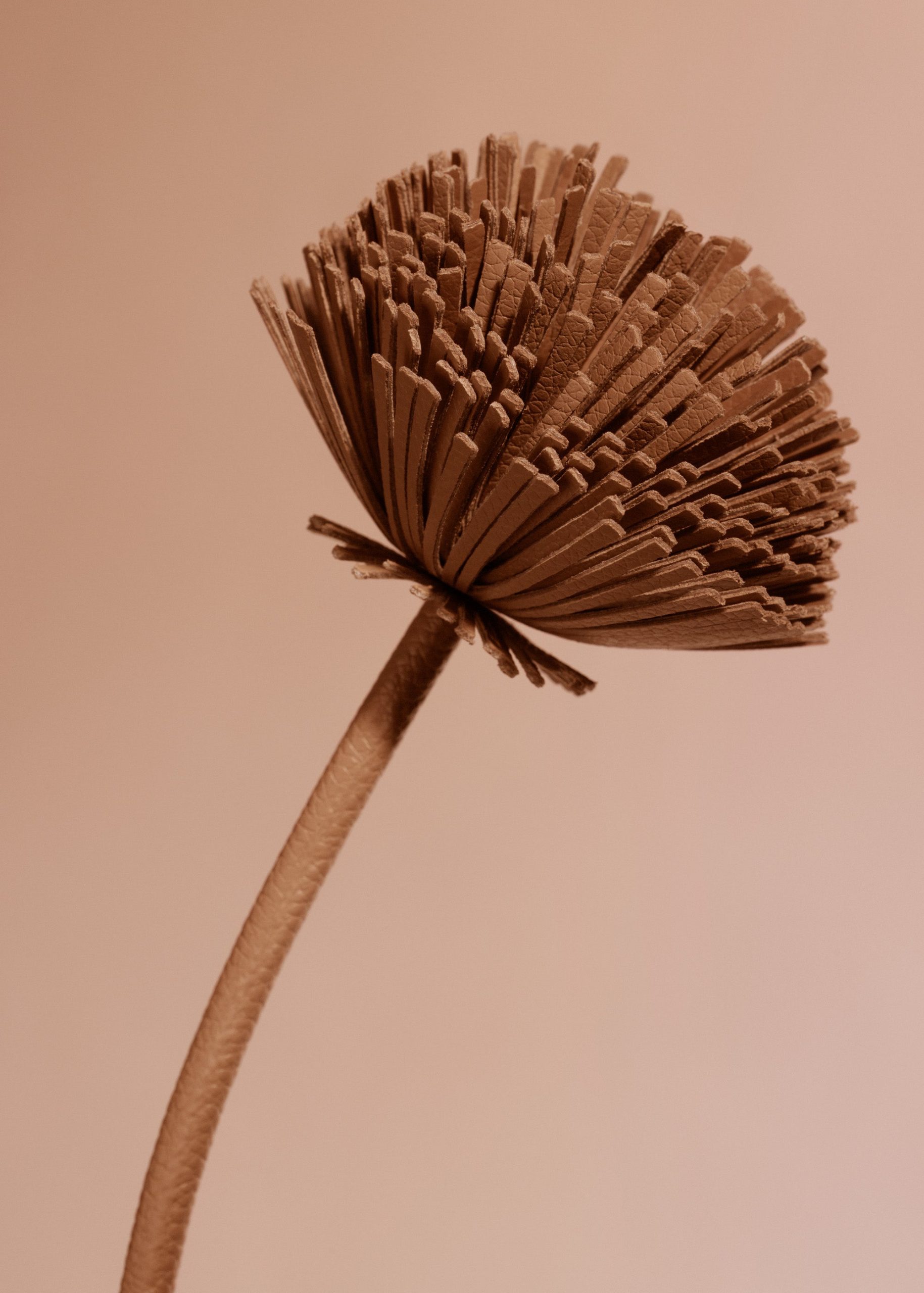 Tul Flower - Textured Duo Tan - Image 3