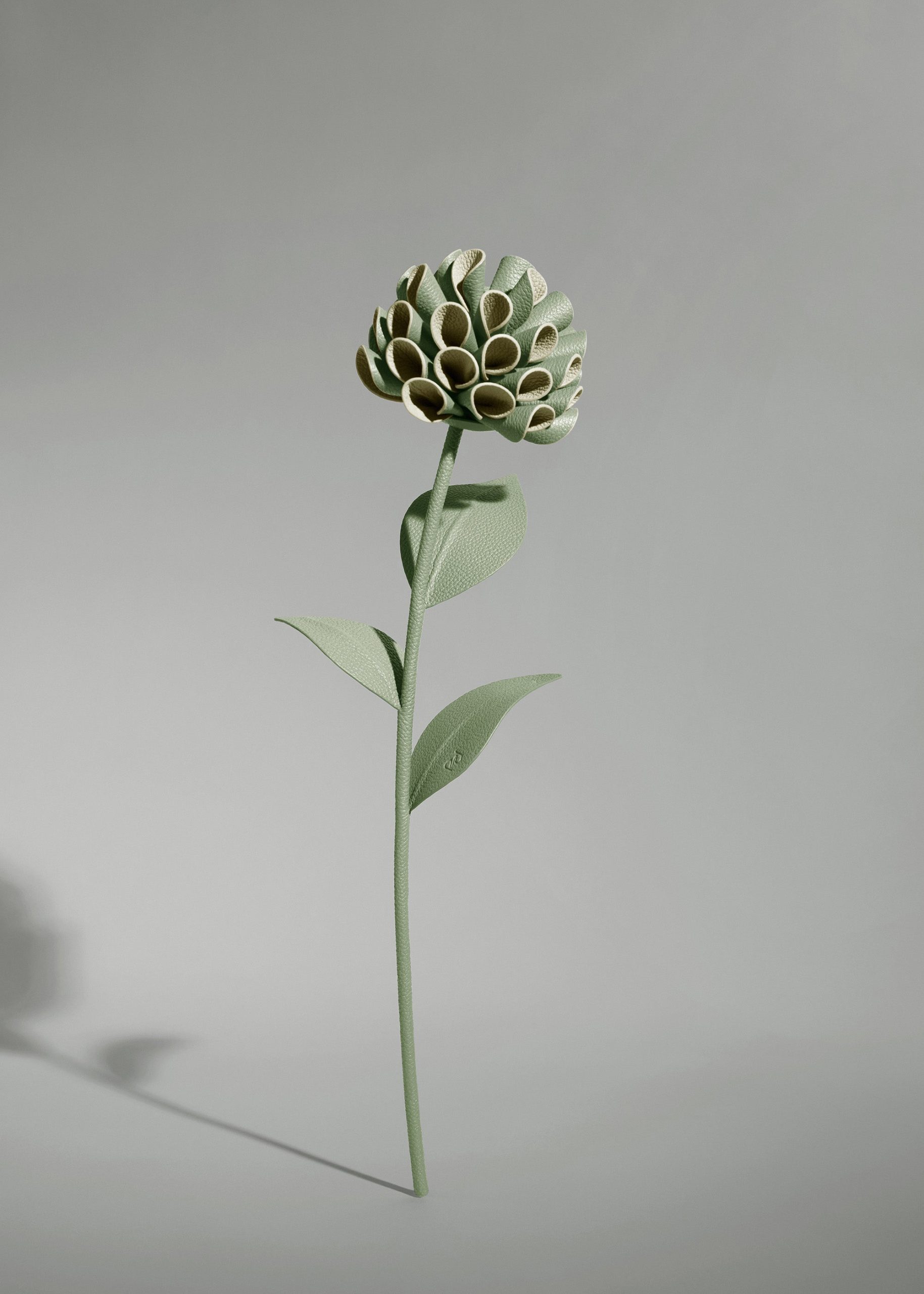 Dalium Flower - Duo Fresh Almond - Image 2