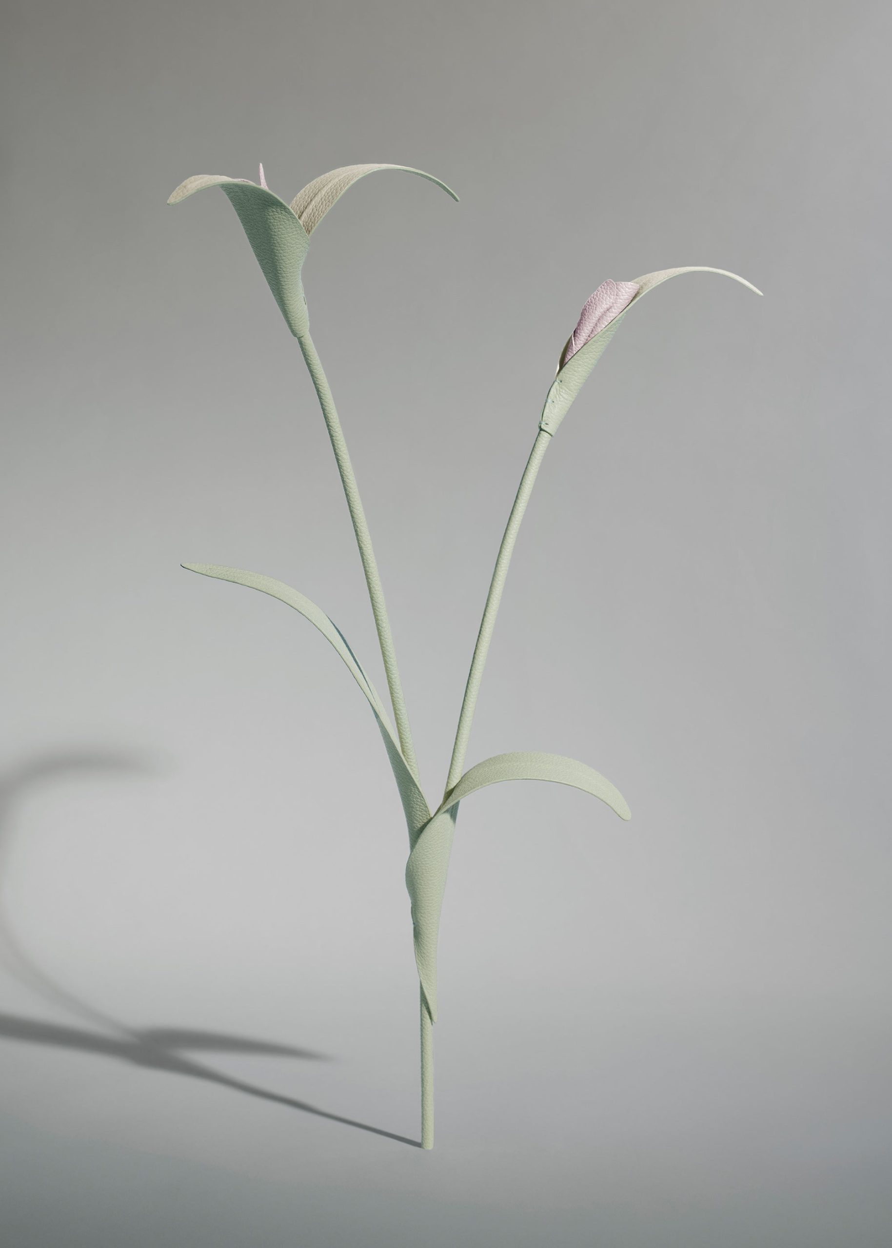 Touka Flower - Trio Fresh Almond - Image 2