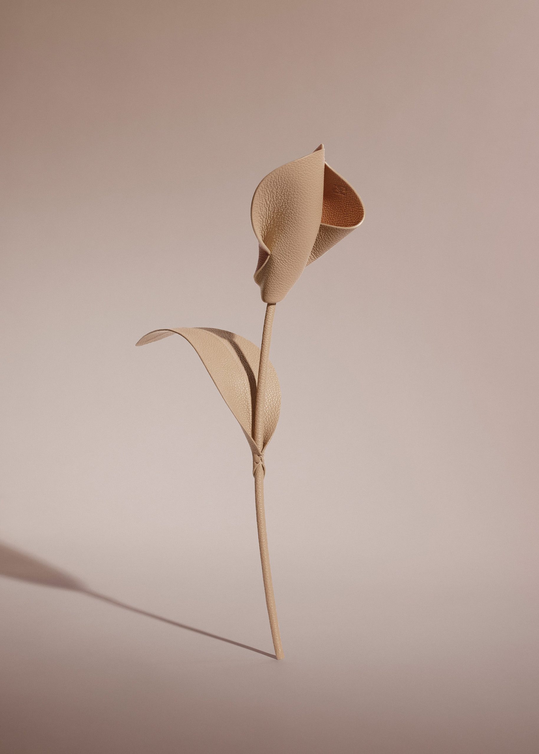 Pili Flower - Duo Beige - Image 2