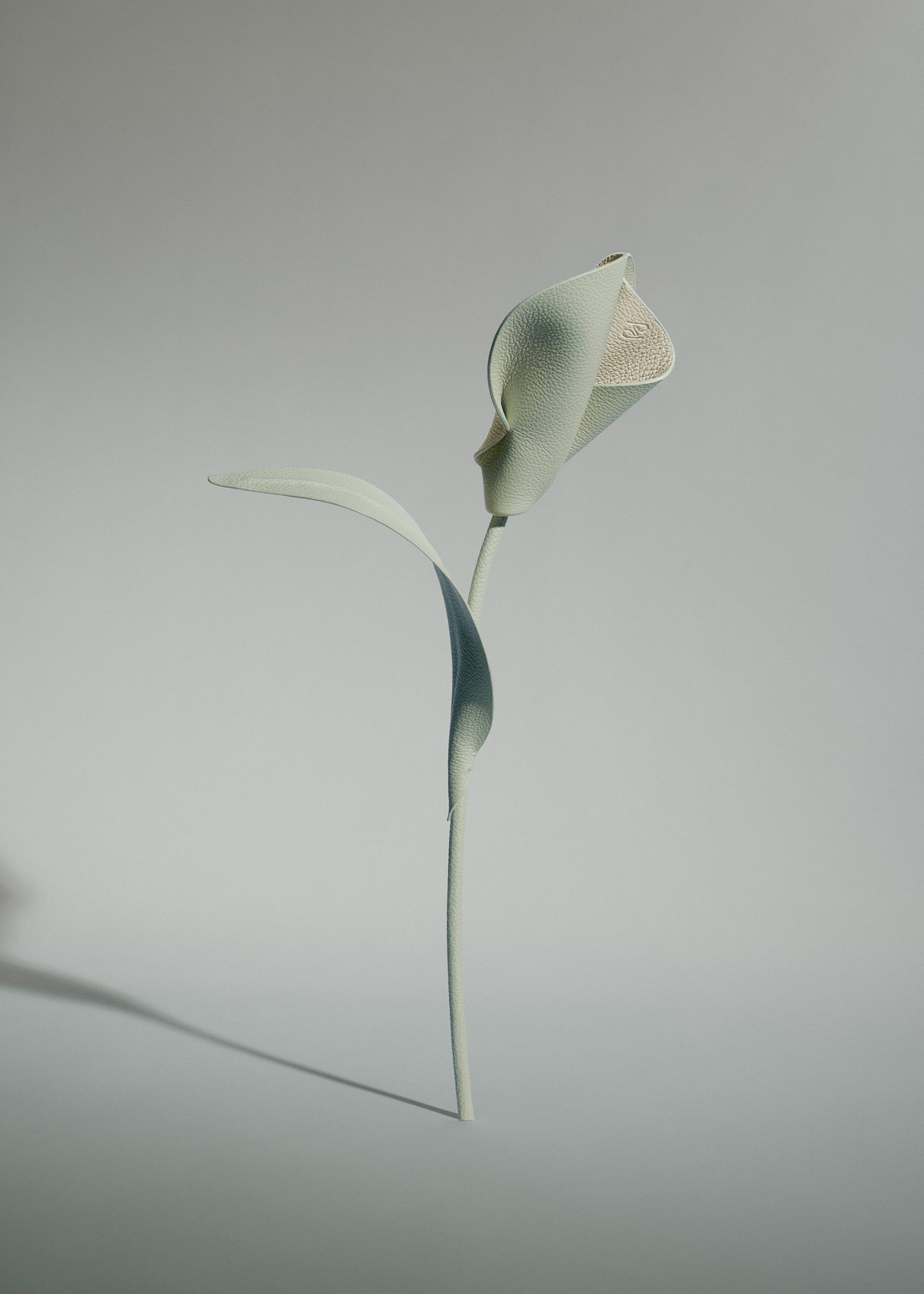 Pili Flower - Duo Fresh Almond - Image 2