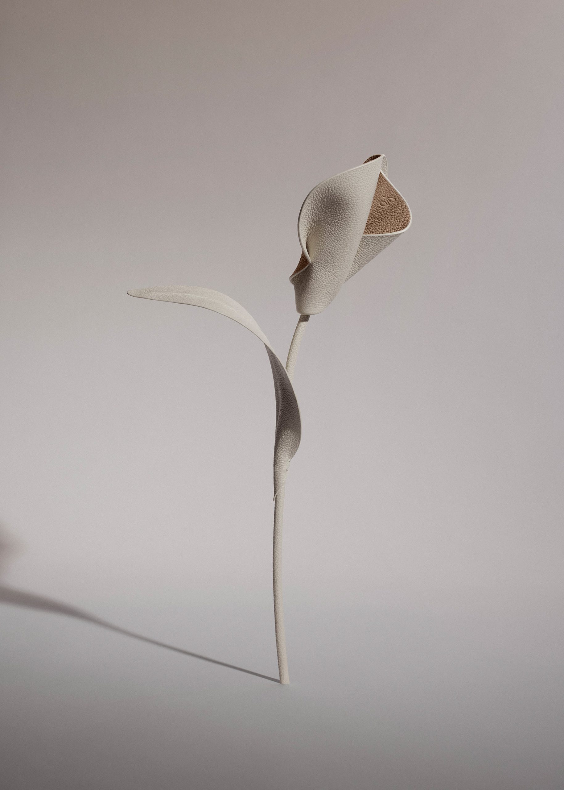 Pili Flower - Duo Chalk - Image 2