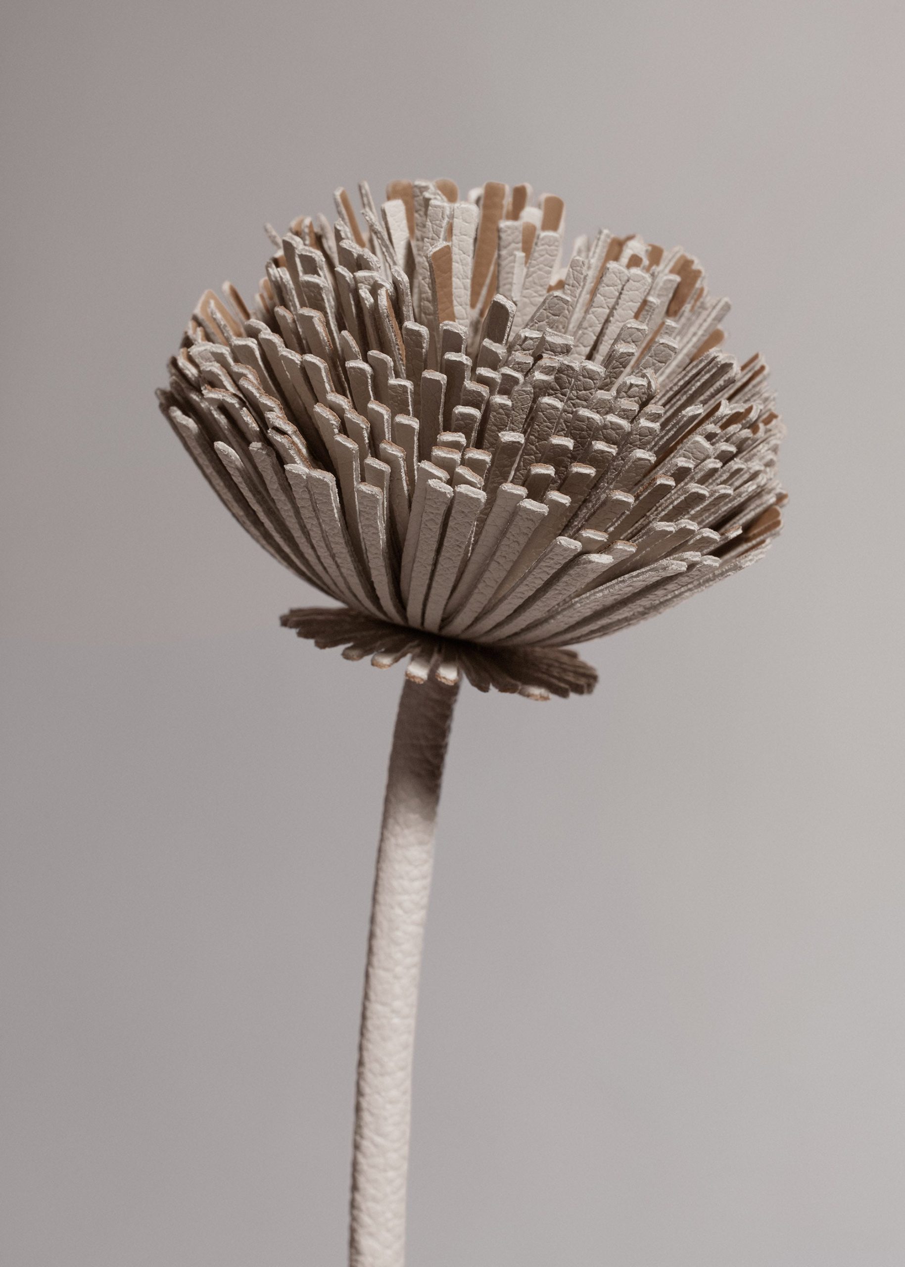 Tul Flower - Duo Chalk - Image 3