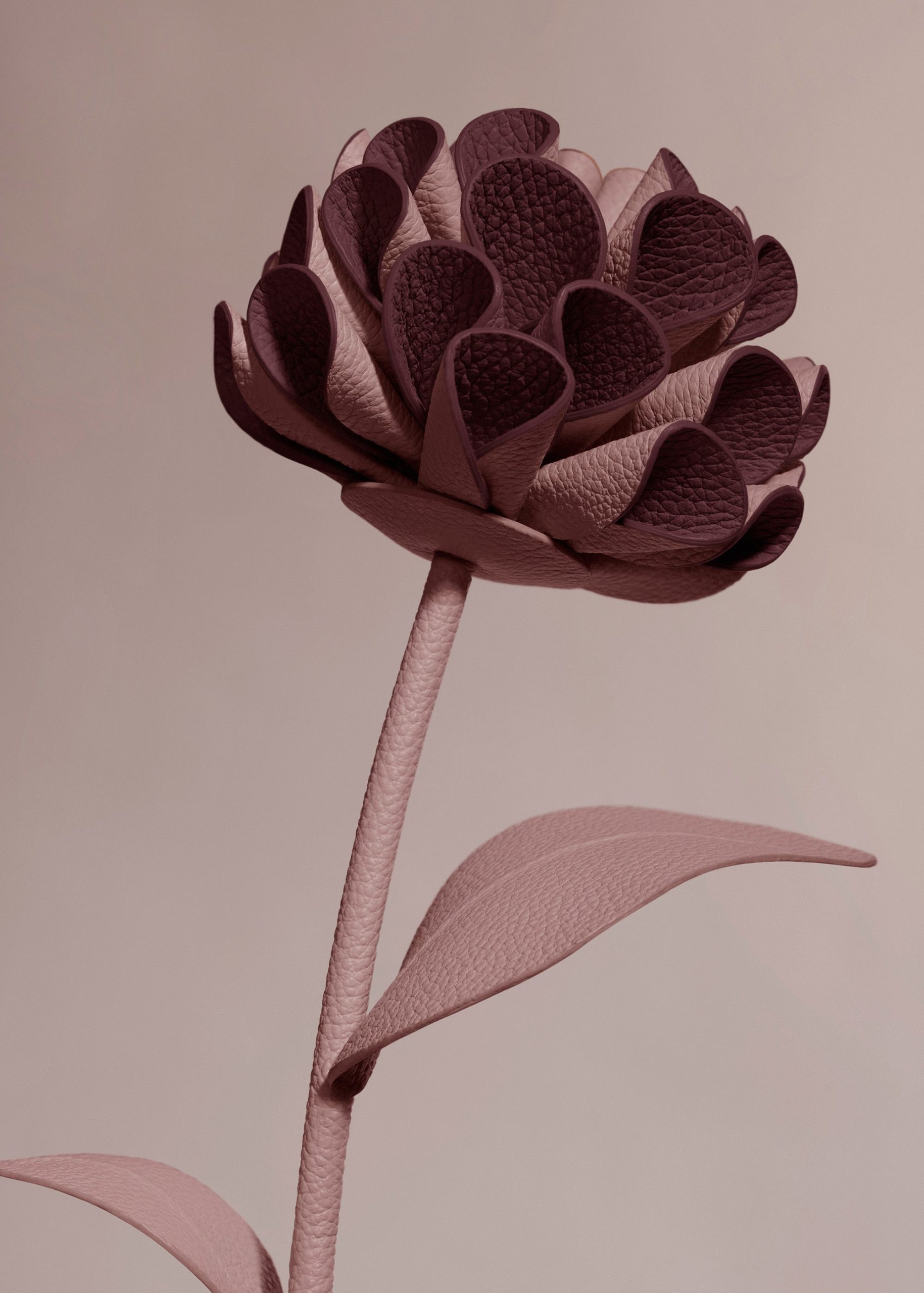 Dalium Flower - Duo Lilac - Image 3