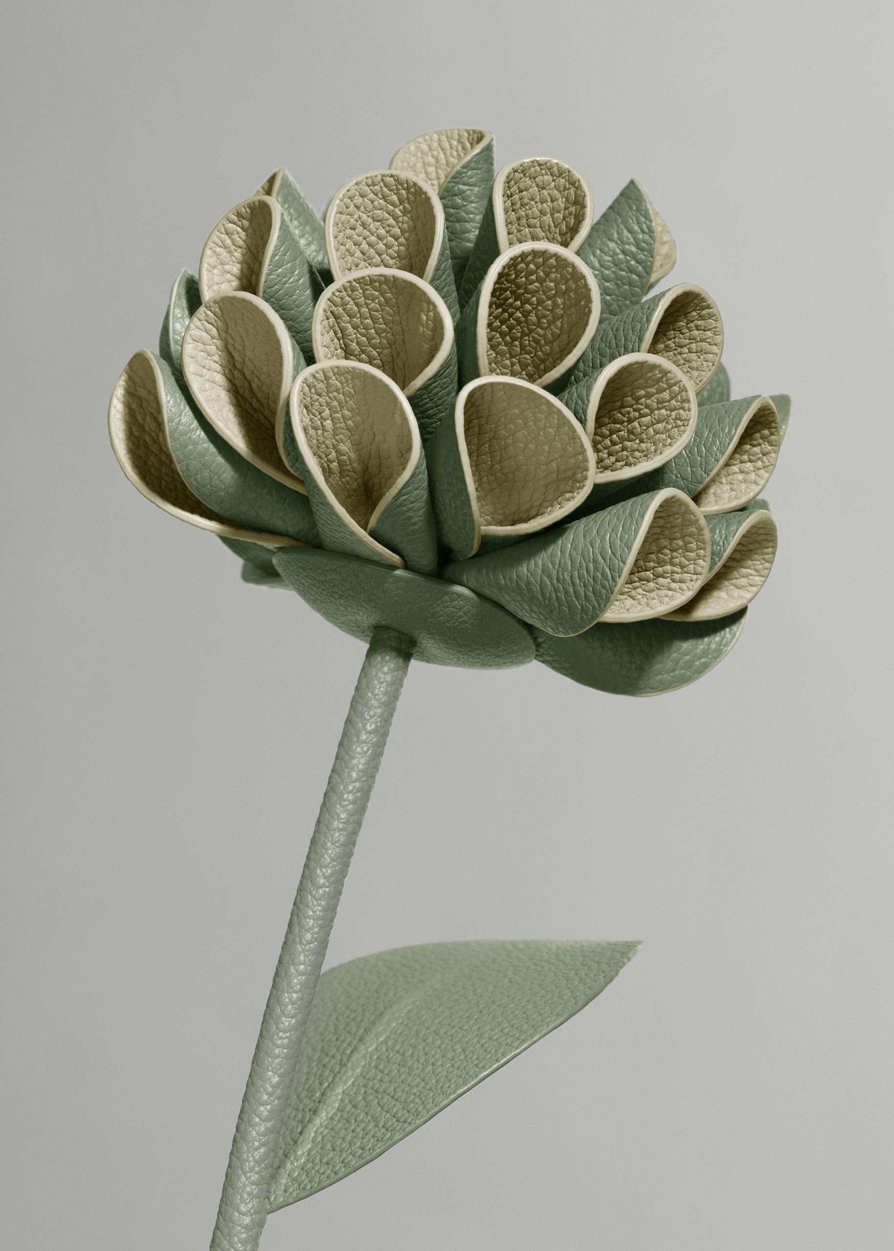 Dalium Flower - Duo Fresh Almond - Image 3