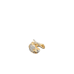 Eroz Ring - Duo palladium with 24 carat gold plating