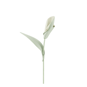 Pili Flower - Duo Fresh Almond