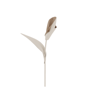 Pili Flower - Duo Chalk