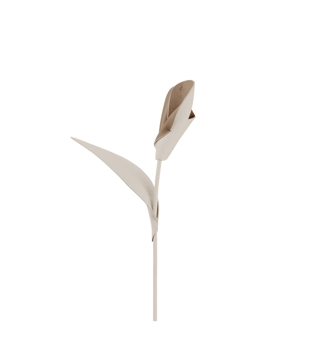 Pili Flower - Duo Chalk